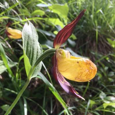 Naturwanderwoche 2018 - Nationalpark Hohe Tauern