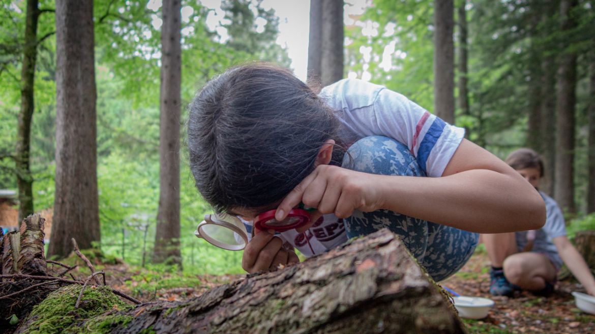 Landschultage / Naturerlebnistage f&uuml;r Schulklassen in Vorarlberg